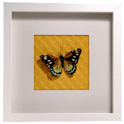 faux butterfly shadowbox 1